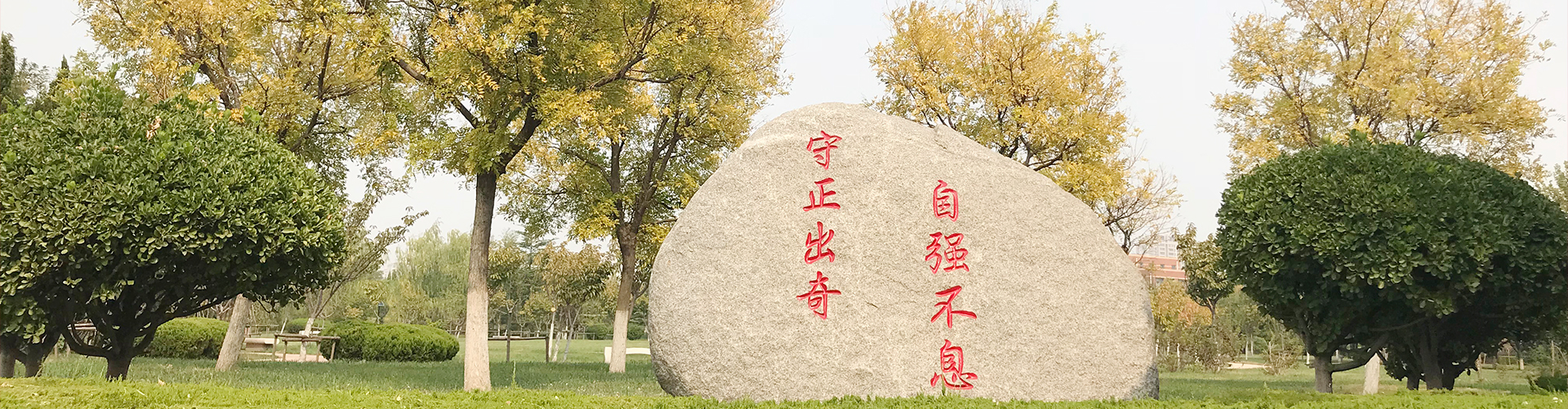 QY球友会体育